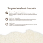 Merino Sheepskin | Short Wool | approx. 35 in