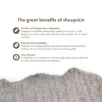 Merino Sheepskin | Short Wool | approx. 35 in