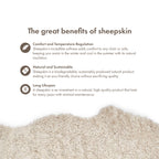 Merino Sheepskin | Short Wool | approx. 35 in